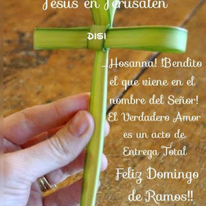 Meet your Posher, Luis lorenzo